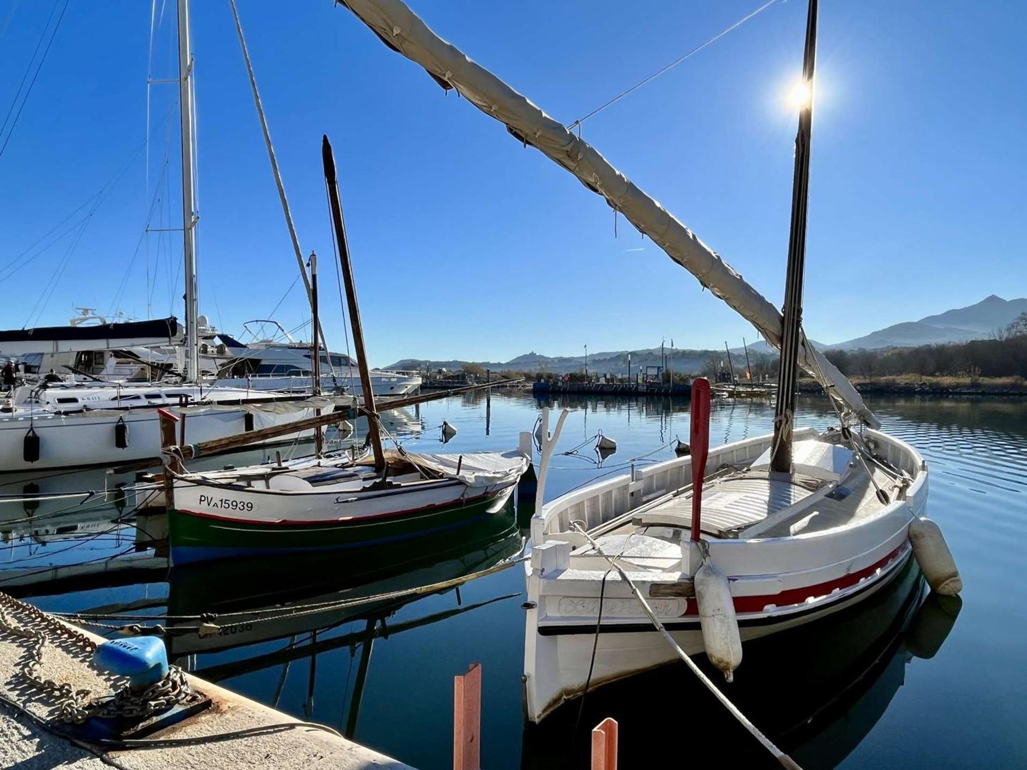 Appartement Familial 2 Pieces, Proche Plage, Garage, Loggia - Argeles-Sur-Mer - Fr-1-225-464 外观 照片